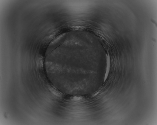 X0000092250570200710121301