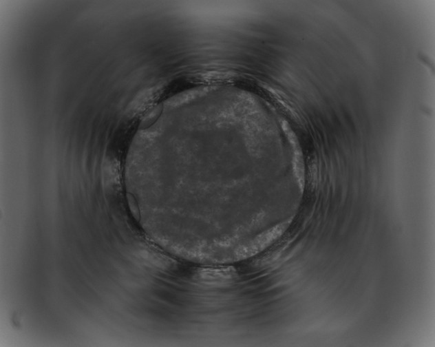X0000092250571200710121301