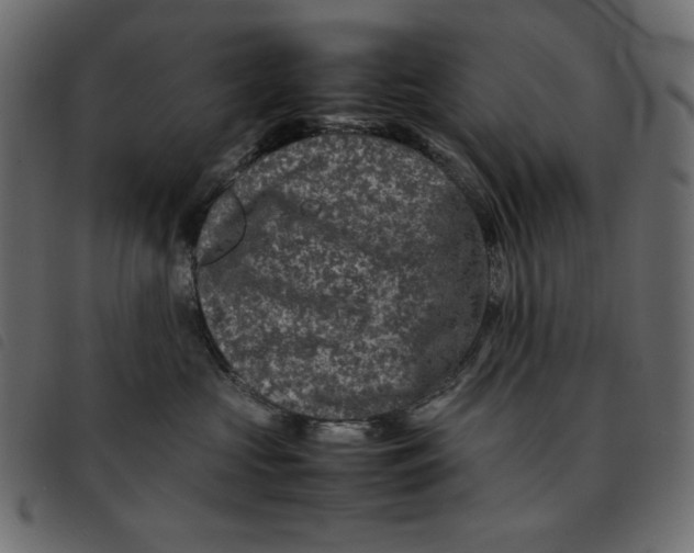 X0000092250573200710121301