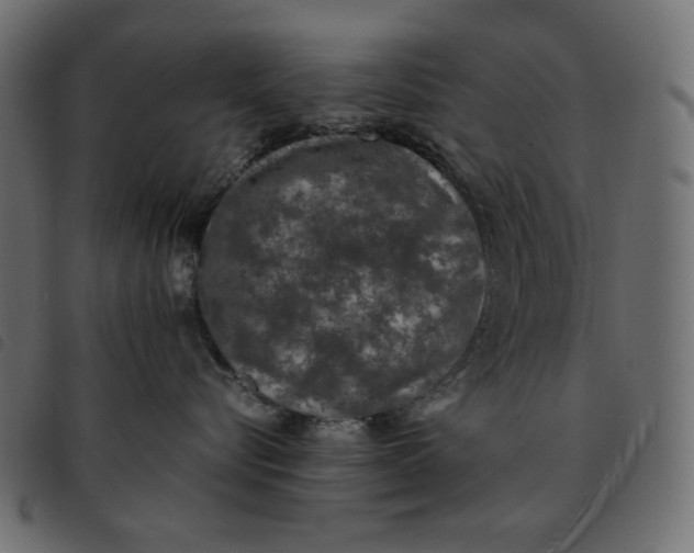 X0000092250576200710121301