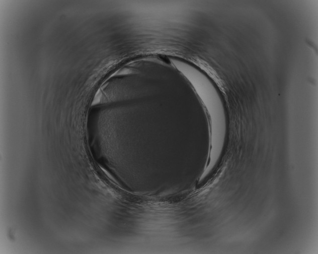 X0000092250577200710121301
