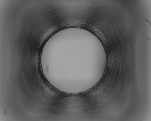 X0000092250578200710121301