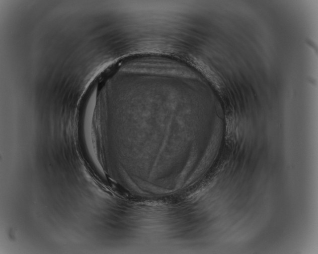 X0000092250580200710121301