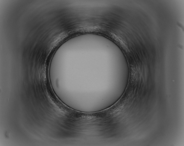 X0000092250582200710121301