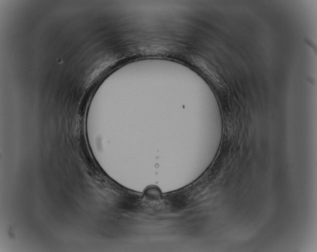X0000092250583200710121301