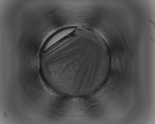 X0000092250584200710121301