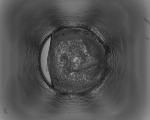 X0000092250585200710121301