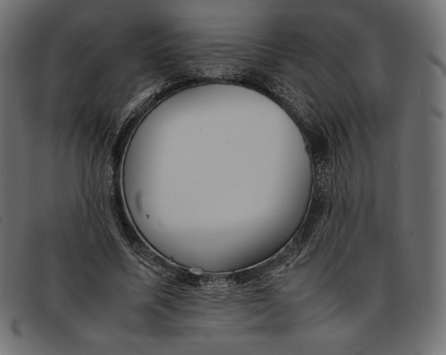 X0000092250587200710121301