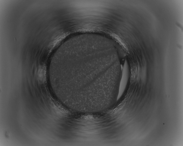 X0000092250588200710121301