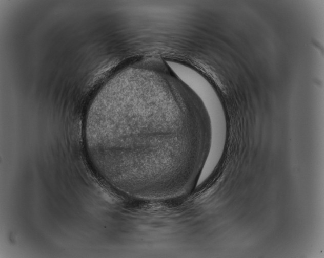 X0000092250589200710121301