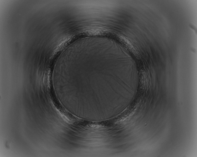 X0000092250590200710121301