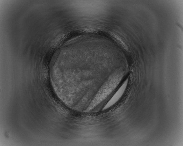 X0000092250593200710121301