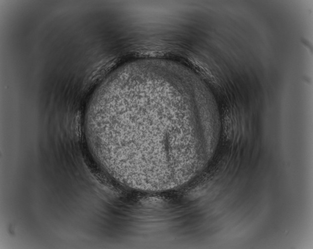 X0000092250594200710121301