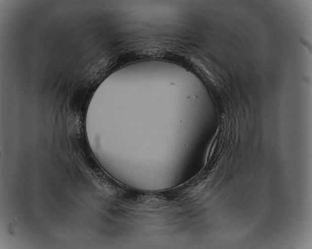 X0000092250597200710121301