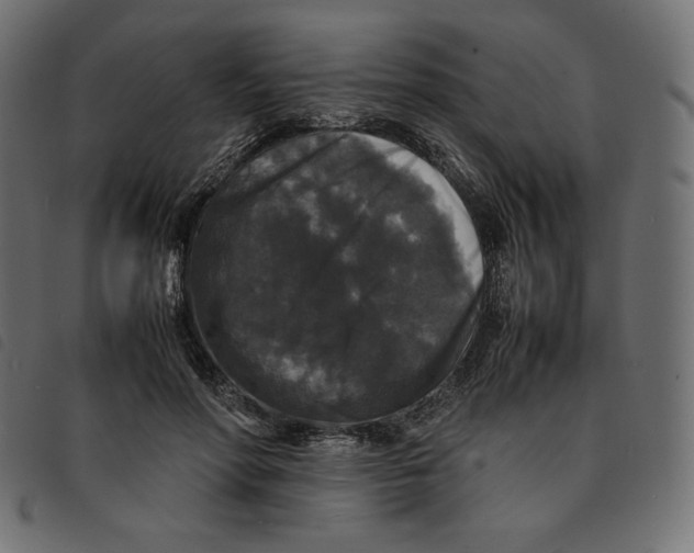 X0000092250598200710121301