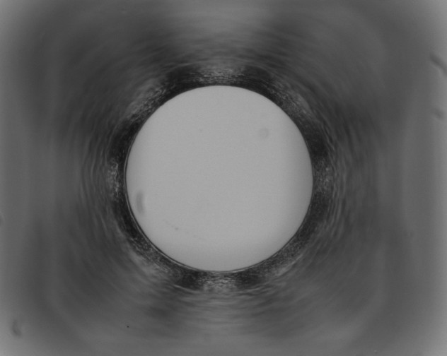 X0000092250599200710121301