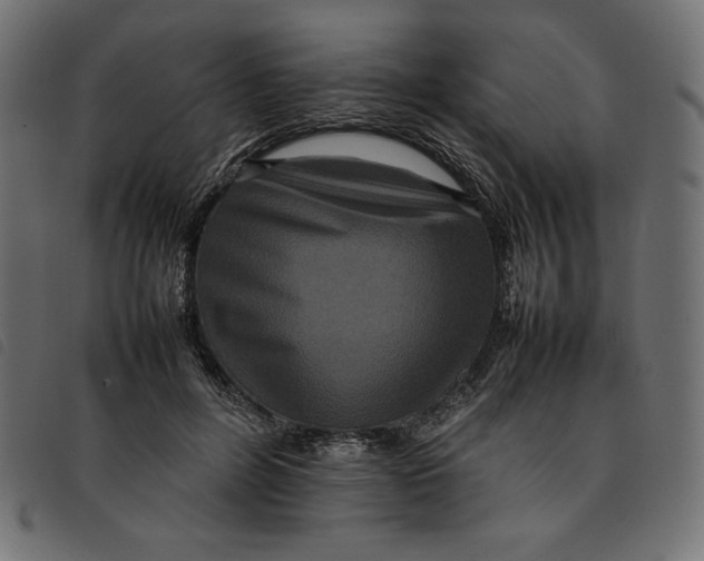 X0000092250600200710121301