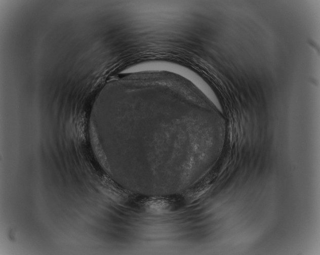 X0000092250604200710121300