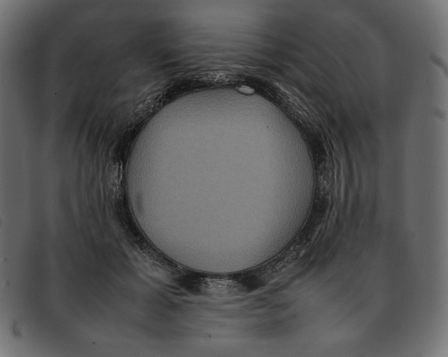 X0000092250605200710121300