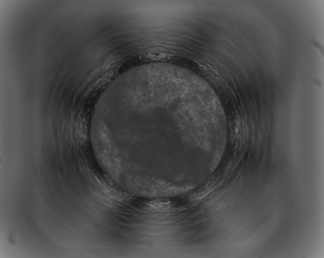 X0000092250606200710121300