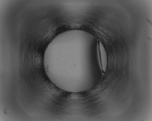 X0000092250608200710121300