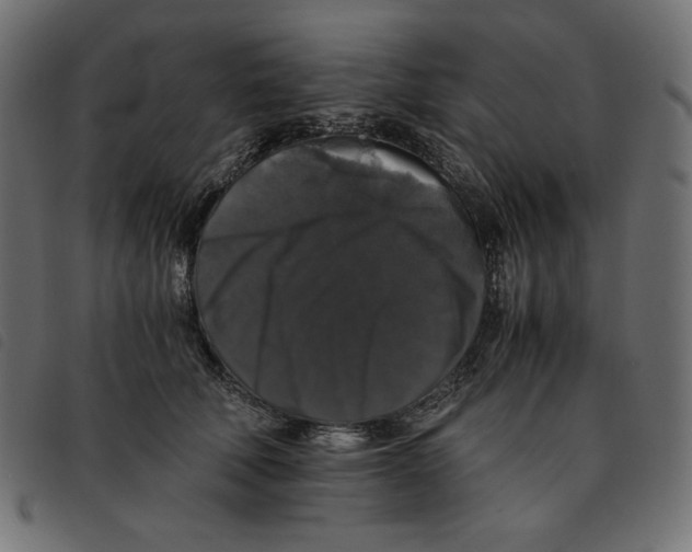 X0000092250610200710121300