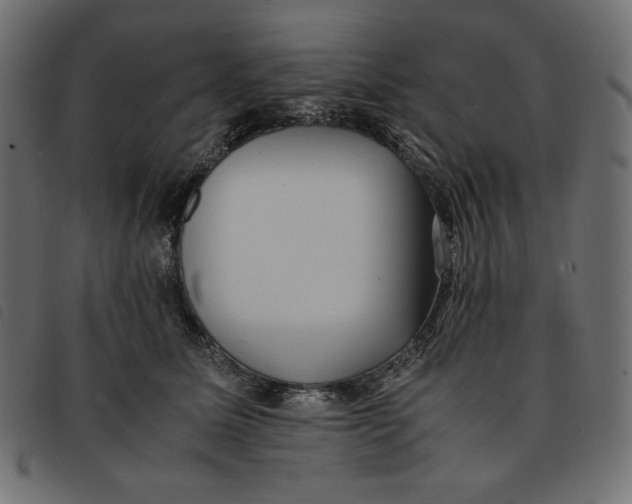X0000092250611200710121300
