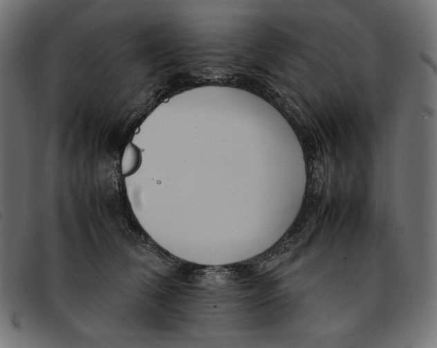 X0000092250612200710121300