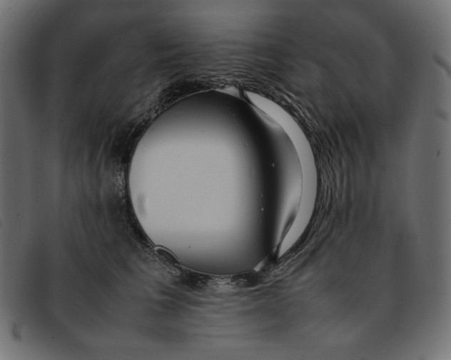 X0000092250613200710121300
