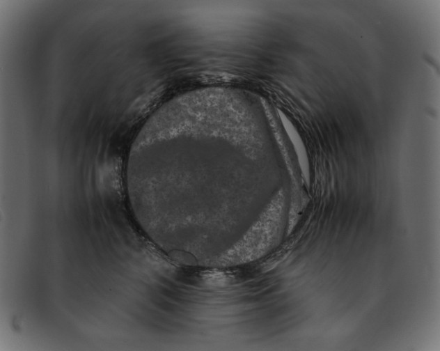 X0000092250616200710121300