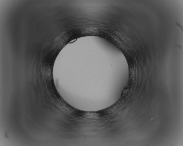 X0000092250617200710121300
