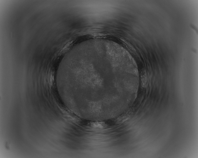 X0000092250618200710121300