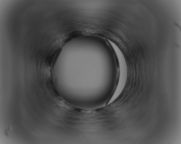 X0000092250621200710121300