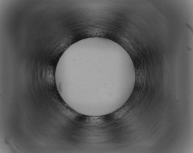 X0000092250622200710121300