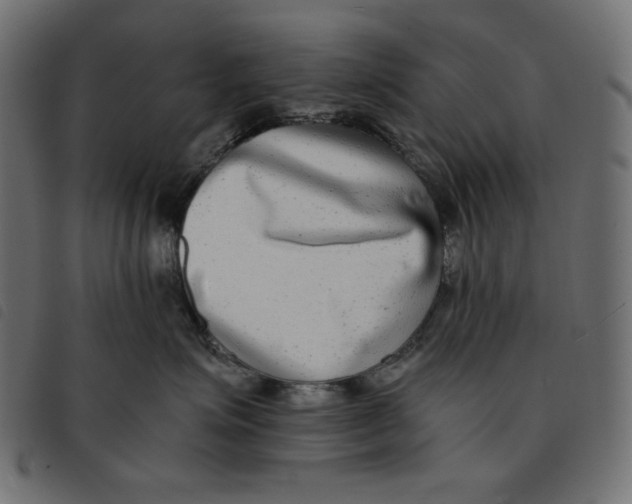 X0000092250623200710121300