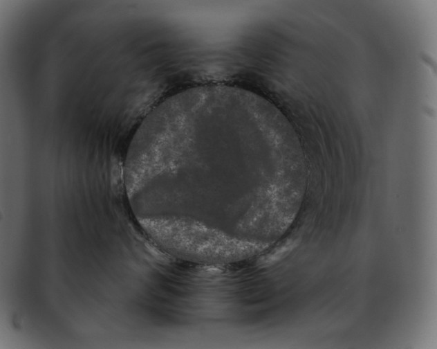 X0000092250624200710121300