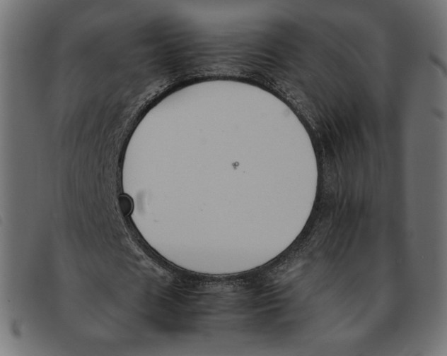 X0000092250625200710121259