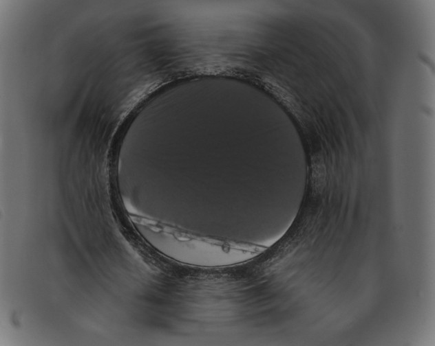 X0000092250626200710121300