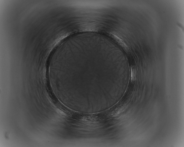 X0000092250627200710121300