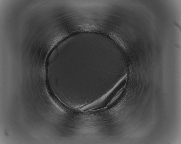 X0000092250630200710121300