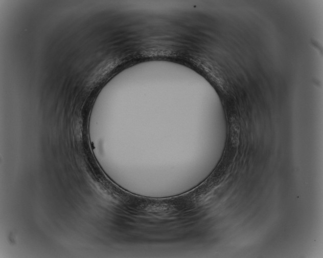 X0000092250631200710121300