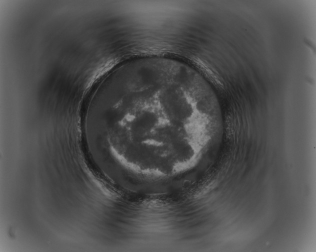 X0000092250634200710121300