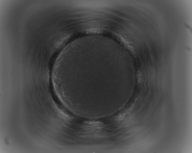 X0000092250637200710121300