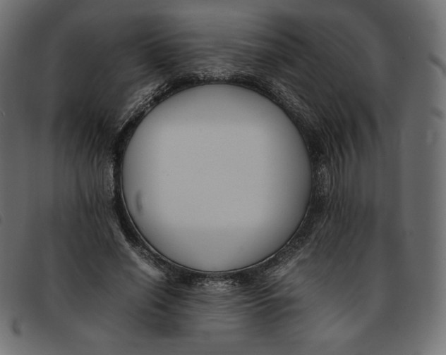 X0000092250638200710121300