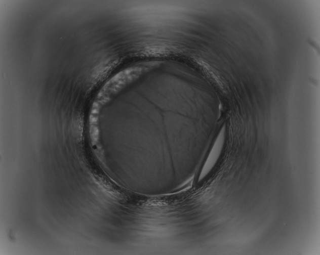 X0000092250640200710121300