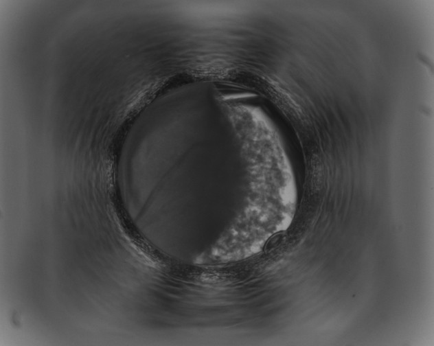 X0000092250641200710121300