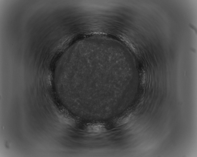 X0000092250643200710121300