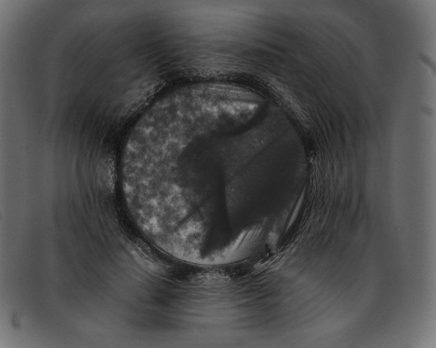 X0000092250644200710121300