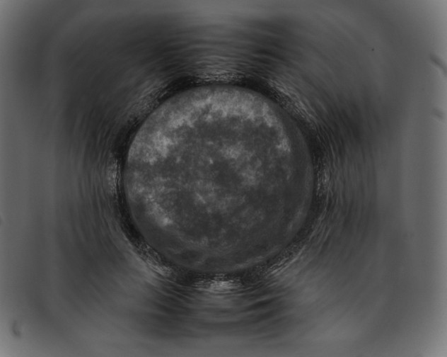 X0000092250647200710121300