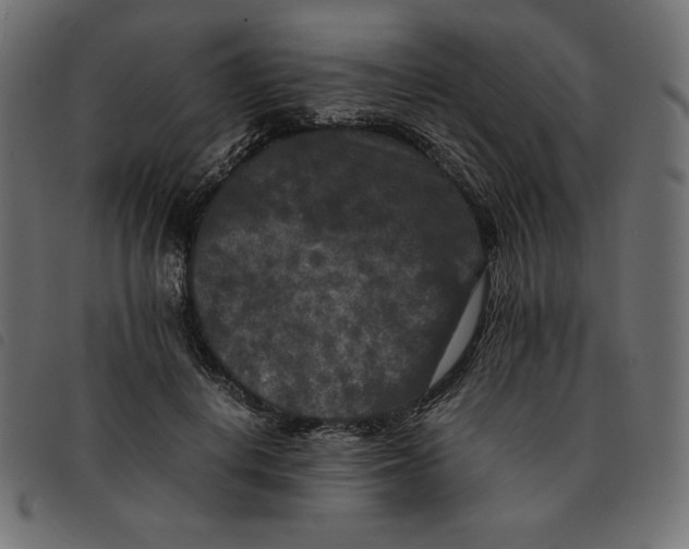 X0000092250648200710121300